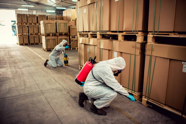Best Local Pest Control Services  in Marble Hill, MO