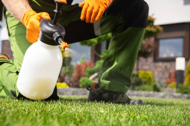 Best Wildlife Control Services  in Marble Hill, MO
