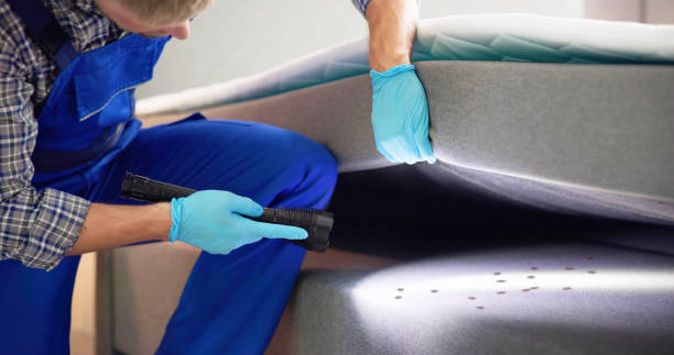 Best Cockroach Control Services  in Marble Hill, MO